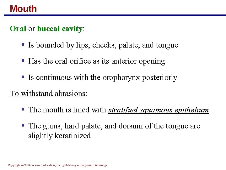 Mouth Oral or buccal cavity: § Is bounded by lips, cheeks, palate, and tongue