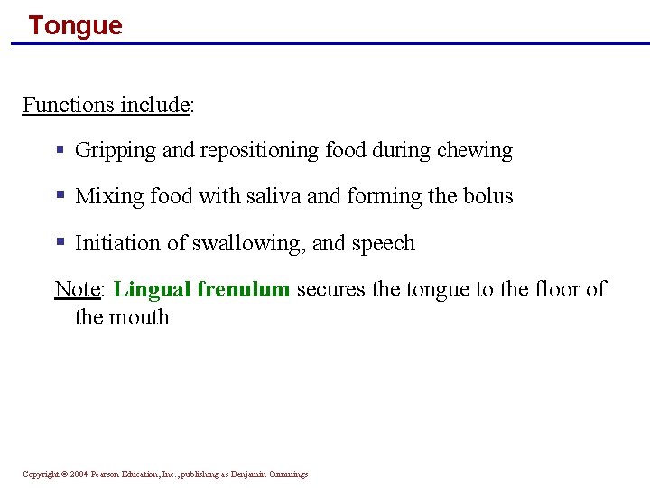 Tongue Functions include: § Gripping and repositioning food during chewing § Mixing food with