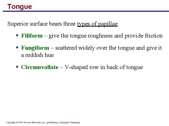 Tongue Superior surface bears three types of papillae: § Filiform – give the tongue