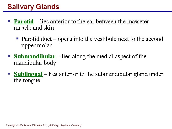 Salivary Glands § Parotid – lies anterior to the ear between the masseter muscle