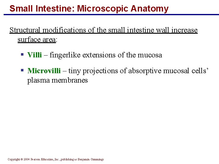 Small Intestine: Microscopic Anatomy Structural modifications of the small intestine wall increase surface area: