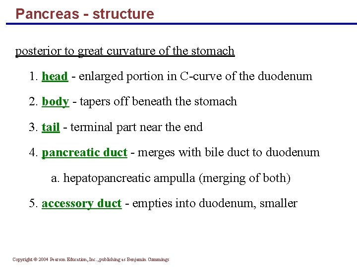 Pancreas - structure posterior to great curvature of the stomach 1. head - enlarged