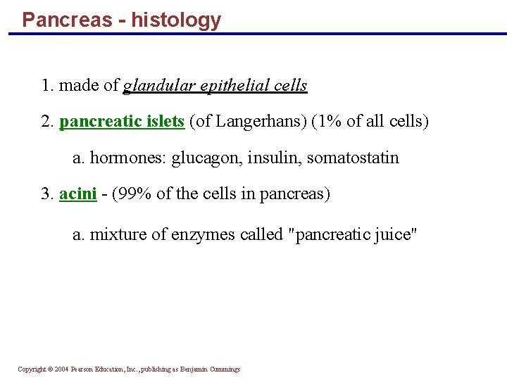 Pancreas - histology 1. made of glandular epithelial cells 2. pancreatic islets (of Langerhans)