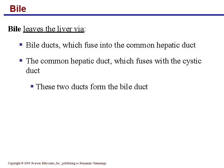 Bile leaves the liver via: § Bile ducts, which fuse into the common hepatic