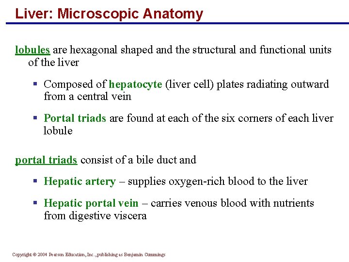 Liver: Microscopic Anatomy lobules are hexagonal shaped and the structural and functional units of