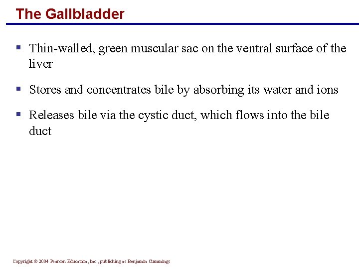 The Gallbladder § Thin-walled, green muscular sac on the ventral surface of the liver