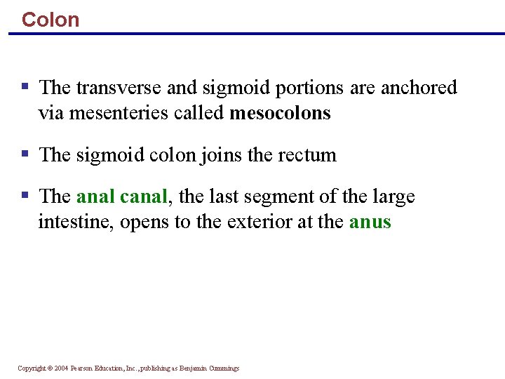 Colon § The transverse and sigmoid portions are anchored via mesenteries called mesocolons §