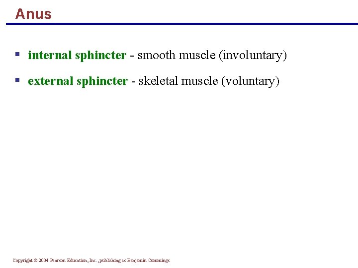 Anus § internal sphincter - smooth muscle (involuntary) § external sphincter - skeletal muscle