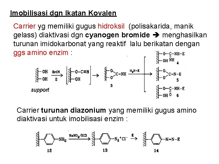 Imobilisasi dgn Ikatan Kovalen Carrier yg memiliki gugus hidroksil (polisakarida, manik gelass) diaktivasi dgn