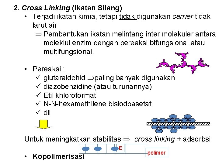 2. Cross Linking (Ikatan Silang) • Terjadi ikatan kimia, tetapi tidak digunakan carrier tidak