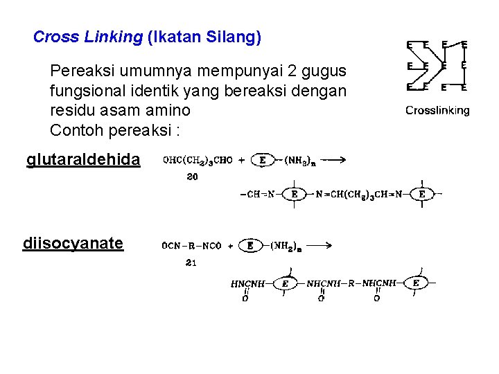 Imobilisasi dg Ikatan (Crosslinking) Cross Linking (Ikatan. Silang) Pereaksi umumnya mempunyai 2 gugus fungsional