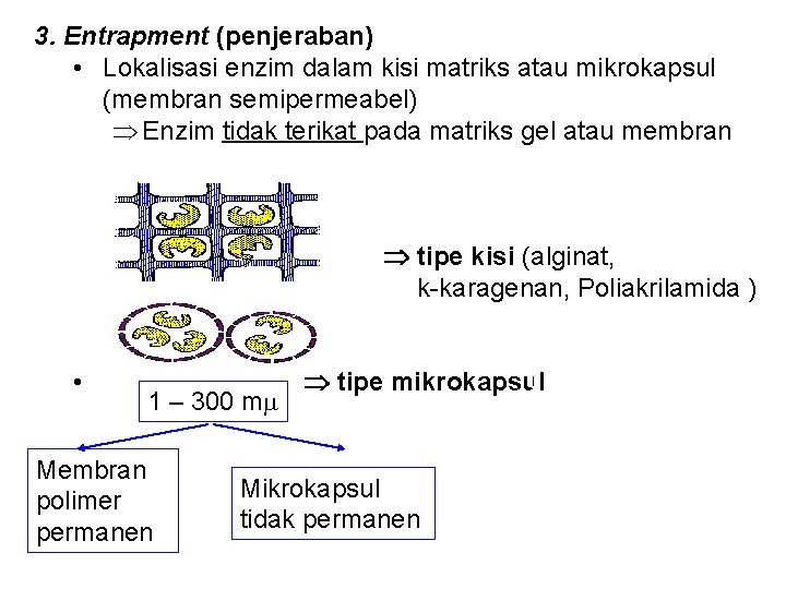 3. Entrapment (penjeraban) • Lokalisasi enzim dalam kisi matriks atau mikrokapsul (membran semipermeabel) Enzim