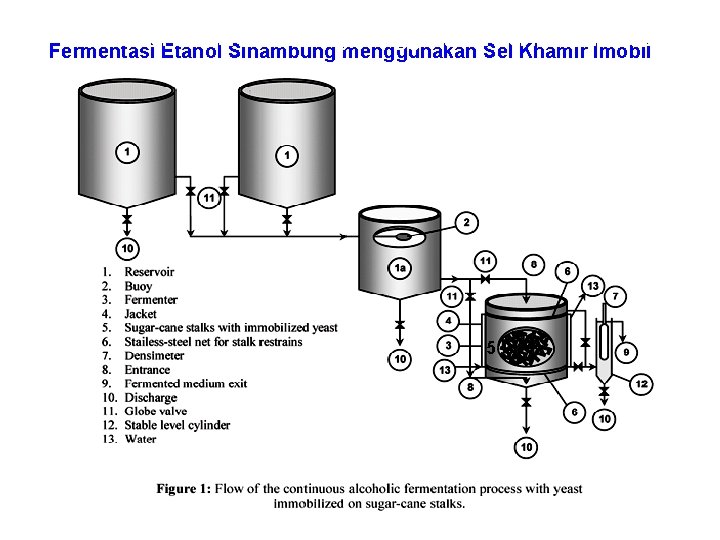 Fermentasi Etanol Sinambung menggunakan Sel Khamir Imobil 5 