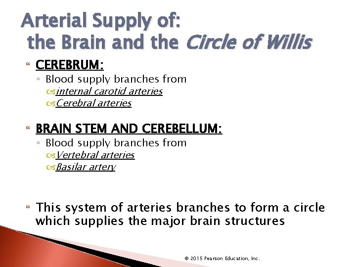 Arterial Supply of: the Brain and the Circle of Willis CEREBRUM: ◦ Blood supply