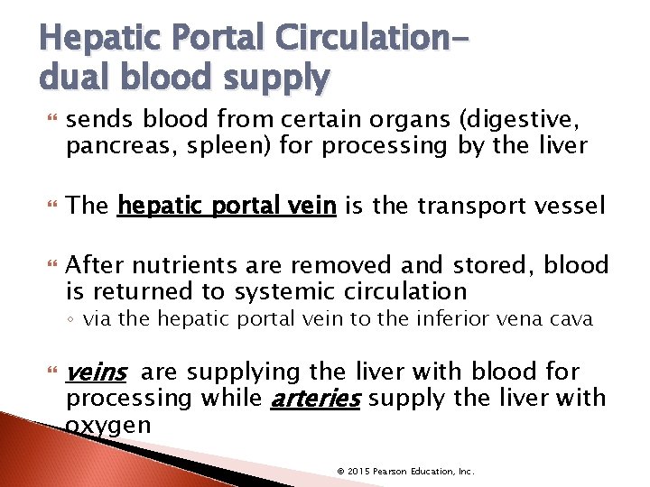 Hepatic Portal Circulationdual blood supply sends blood from certain organs (digestive, pancreas, spleen) for