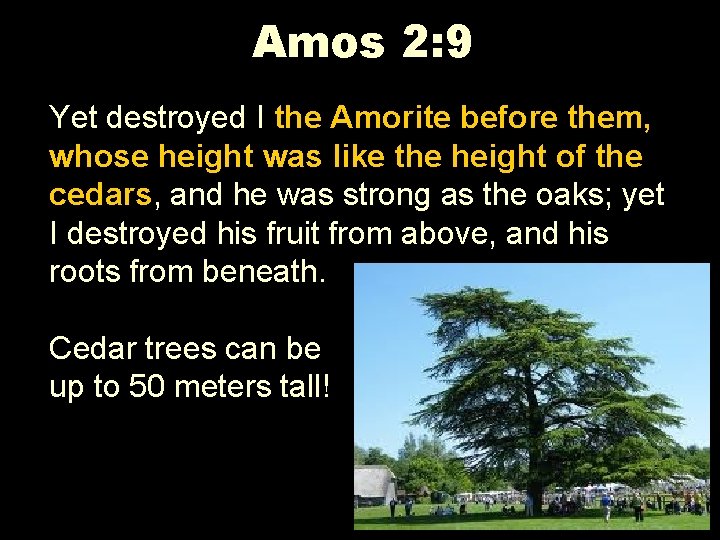 Amos 2: 9 Yet destroyed I the Amorite before them, whose height was like