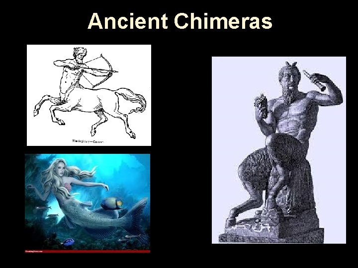 Ancient Chimeras 