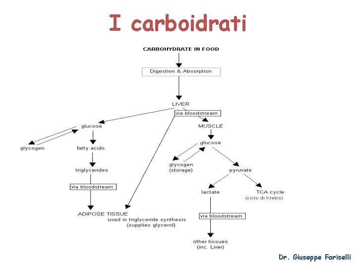 I carboidrati Dr. Giuseppe Fariselli 