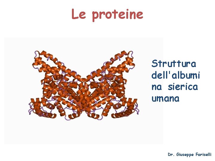 Le proteine Struttura dell'albumi na sierica umana Dr. Giuseppe Fariselli 