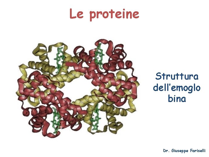 Le proteine Struttura dell’emoglo bina Dr. Giuseppe Fariselli 