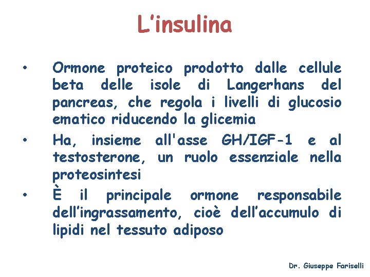 L’insulina • • • Ormone proteico prodotto dalle cellule beta delle isole di Langerhans