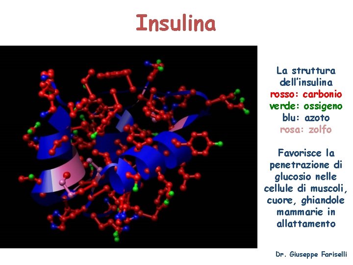 Insulina La struttura dell’insulina rosso: carbonio verde: ossigeno blu: azoto rosa: zolfo Favorisce la