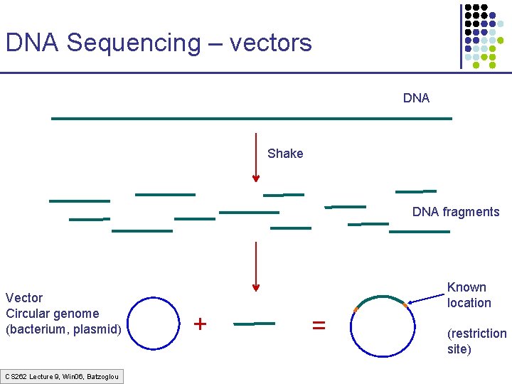 DNA Sequencing – vectors DNA Shake DNA fragments Vector Circular genome (bacterium, plasmid) CS