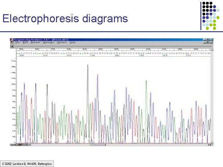 Electrophoresis diagrams CS 262 Lecture 9, Win 06, Batzoglou 