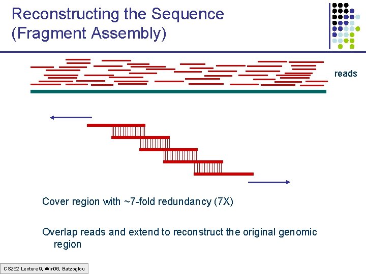 Reconstructing the Sequence (Fragment Assembly) reads Cover region with ~7 -fold redundancy (7 X)