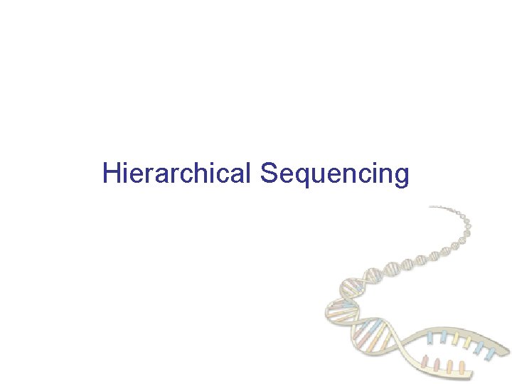 Hierarchical Sequencing 
