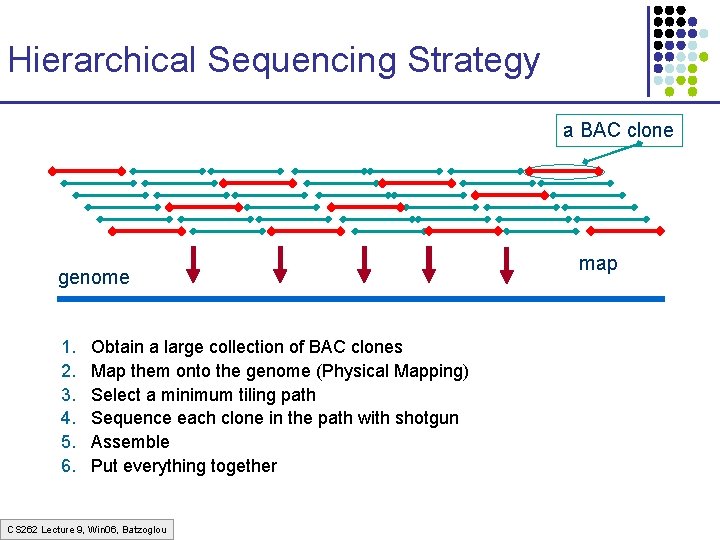 Hierarchical Sequencing Strategy a BAC clone genome 1. 2. 3. 4. 5. 6. Obtain