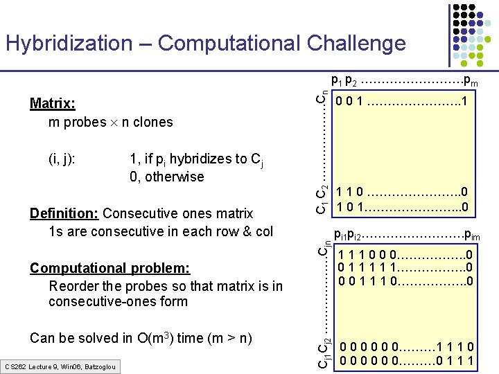 Hybridization – Computational Challenge (i, j): 1, if pi hybridizes to Cj 0, otherwise