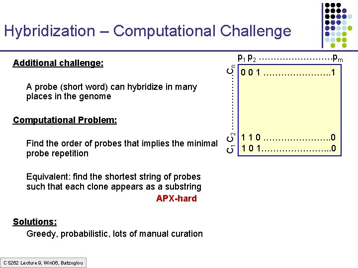 Hybridization – Computational Challenge A probe (short word) can hybridize in many places in