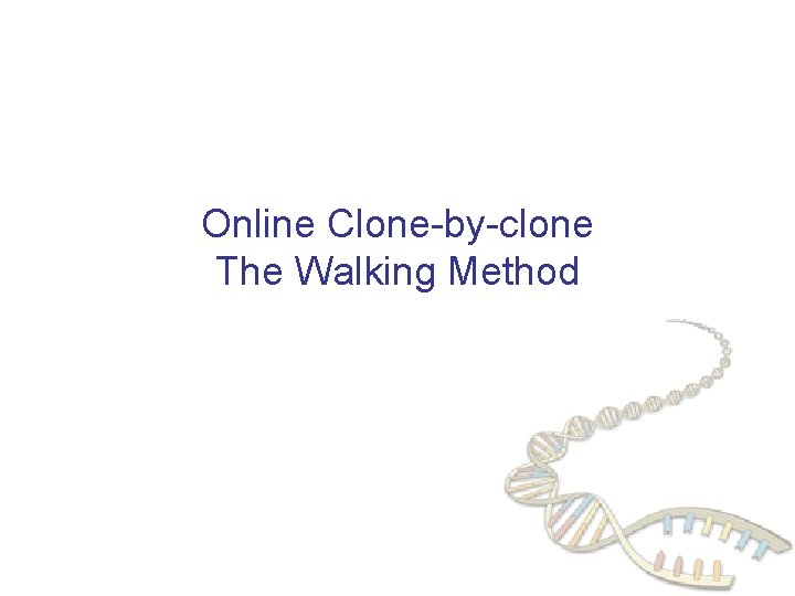 Online Clone-by-clone The Walking Method 