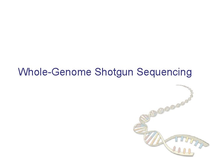 Whole-Genome Shotgun Sequencing 