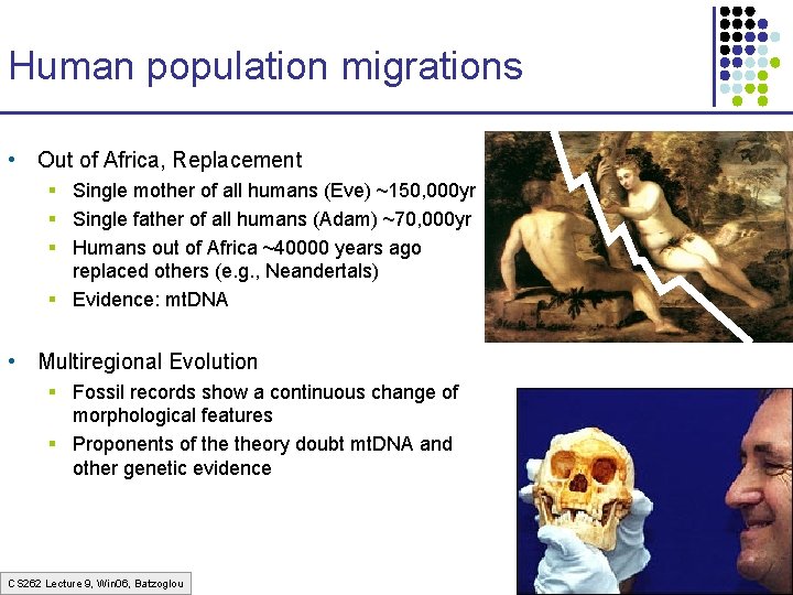 Human population migrations • Out of Africa, Replacement § Single mother of all humans