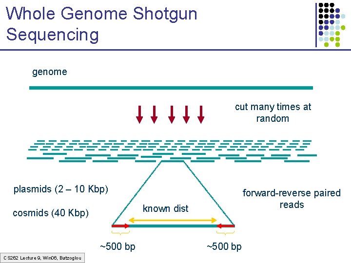 Whole Genome Shotgun Sequencing genome cut many times at random plasmids (2 – 10