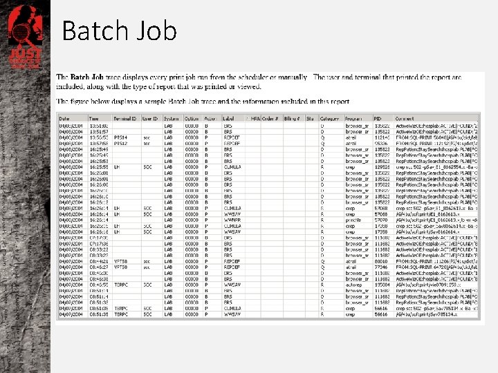 Batch Job 