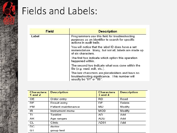 Fields and Labels: 