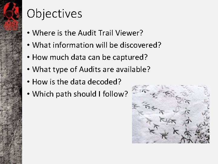 Objectives • Where is the Audit Trail Viewer? • What information will be discovered?