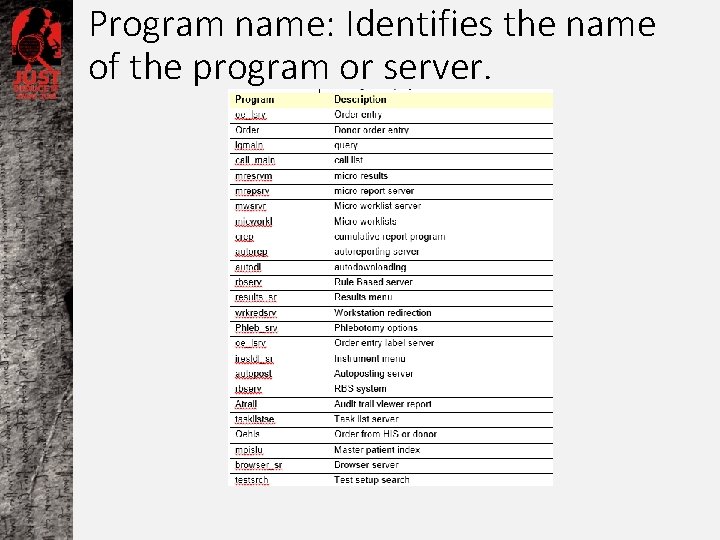 Program name: Identifies the name of the program or server. 