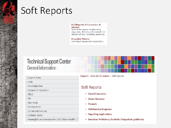 Soft Reports 