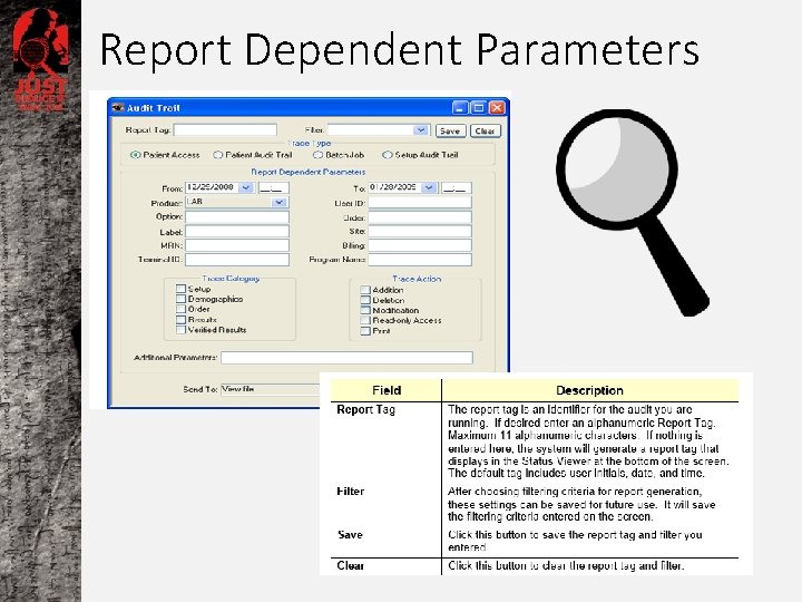 Report Dependent Parameters 