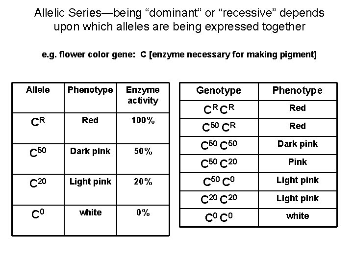 Allelic Series—being “dominant” or “recessive” depends upon which alleles are being expressed together e.