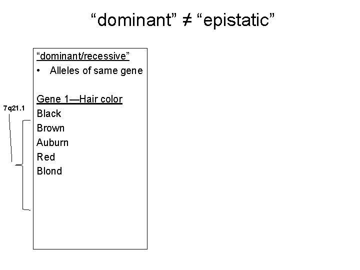 “dominant” ≠ “epistatic” “dominant/recessive” • Alleles of same gene 7 q 21. 1 Gene