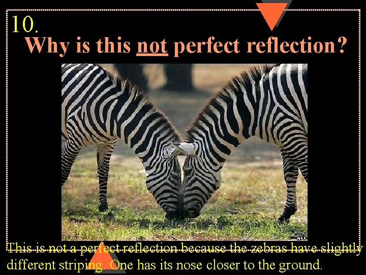 10. Why is this not perfect reflection? This is not a perfect reflection because
