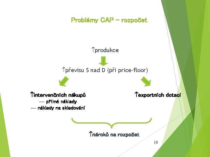 Problémy CAP – rozpočet produkce převisu S nad D (při price-floor) intervenčních nákupů exportních