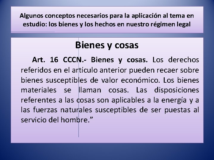 Algunos conceptos necesarios para la aplicación al tema en estudio: los bienes y los