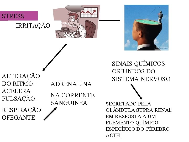 STRESS IRRITAÇÃO ALTERAÇÃO DO RITMO= ACELERA PULSAÇÃO RESPIRAÇÃO OFEGANTE ADRENALINA NA CORRENTE SANGUINEA SINAIS