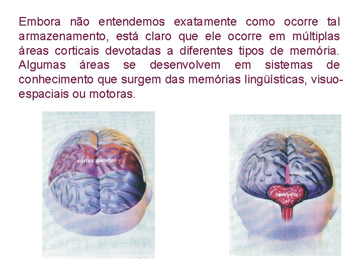 Embora não entendemos exatamente como ocorre tal armazenamento, está claro que ele ocorre em